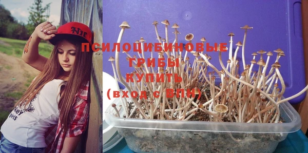 дурь Волосово