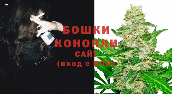 шишки Верея