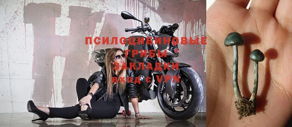 дурь Волосово