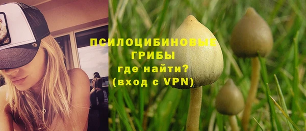 дурь Волосово